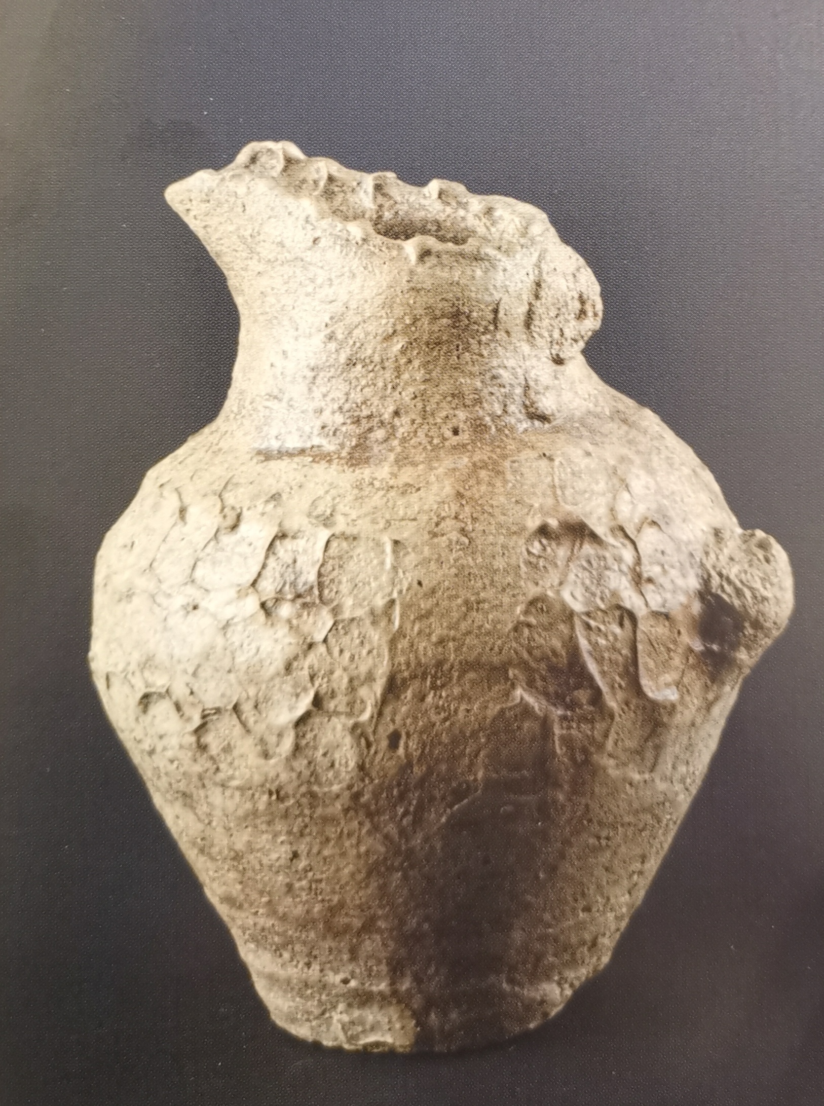 brocca (PERIODIZZAZIONI/ PROTOSTORIA/ Età del Bronzo/ Età del Bronzo medio)