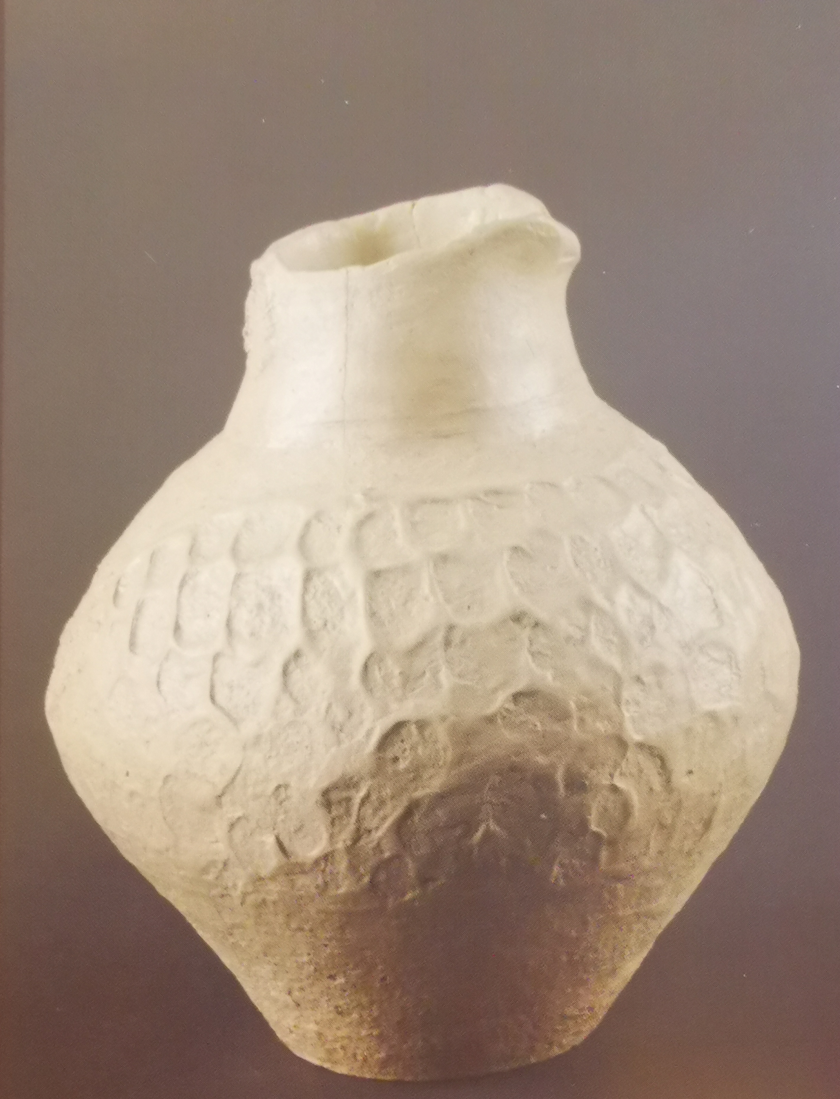 brocca (PERIODIZZAZIONI/ PROTOSTORIA/ Età del Bronzo/ Età del Bronzo medio)