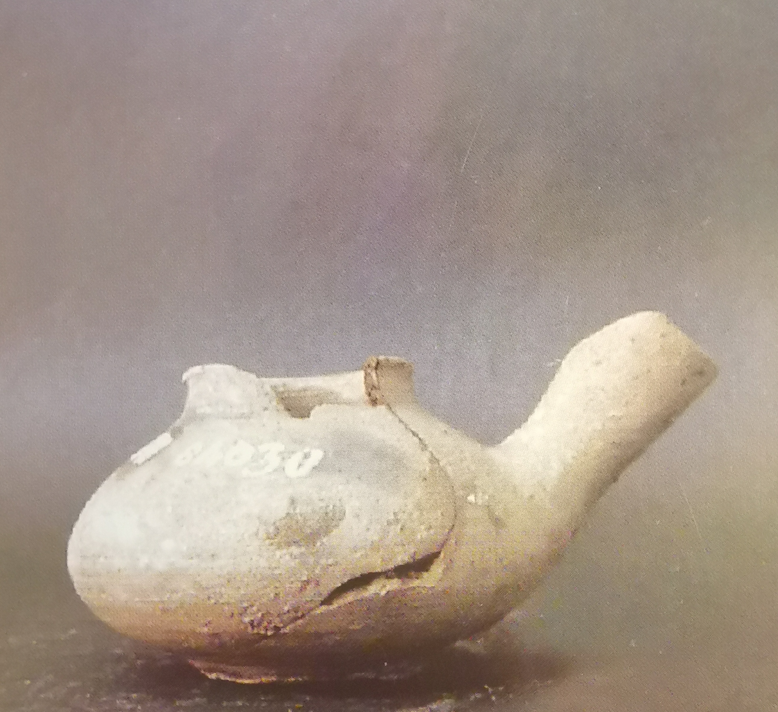 teiera (PERIODIZZAZIONI/ PROTOSTORIA/ Età del Bronzo/ Età del Bronzo medio)