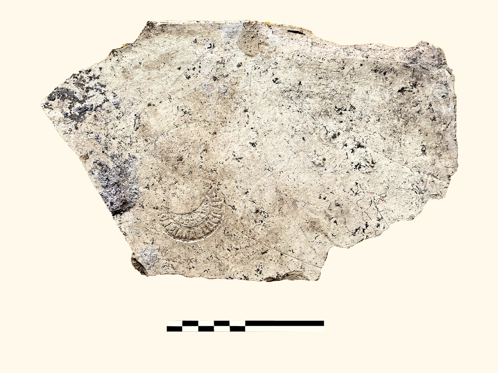 mattone, bipedale (ultimo quarto SECOLI/ I)