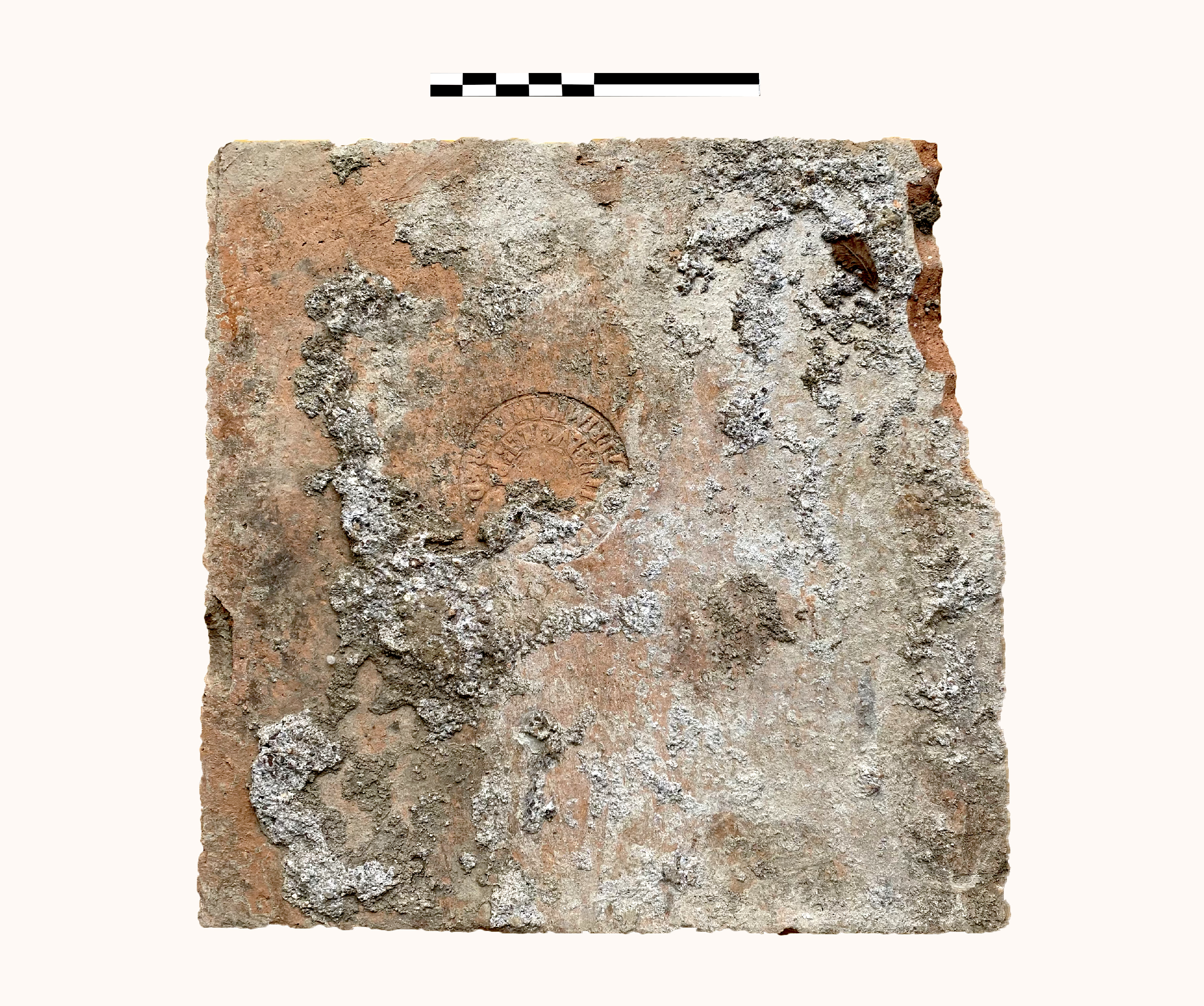 mattone, sesquipedale (metà SECOLI/ II)