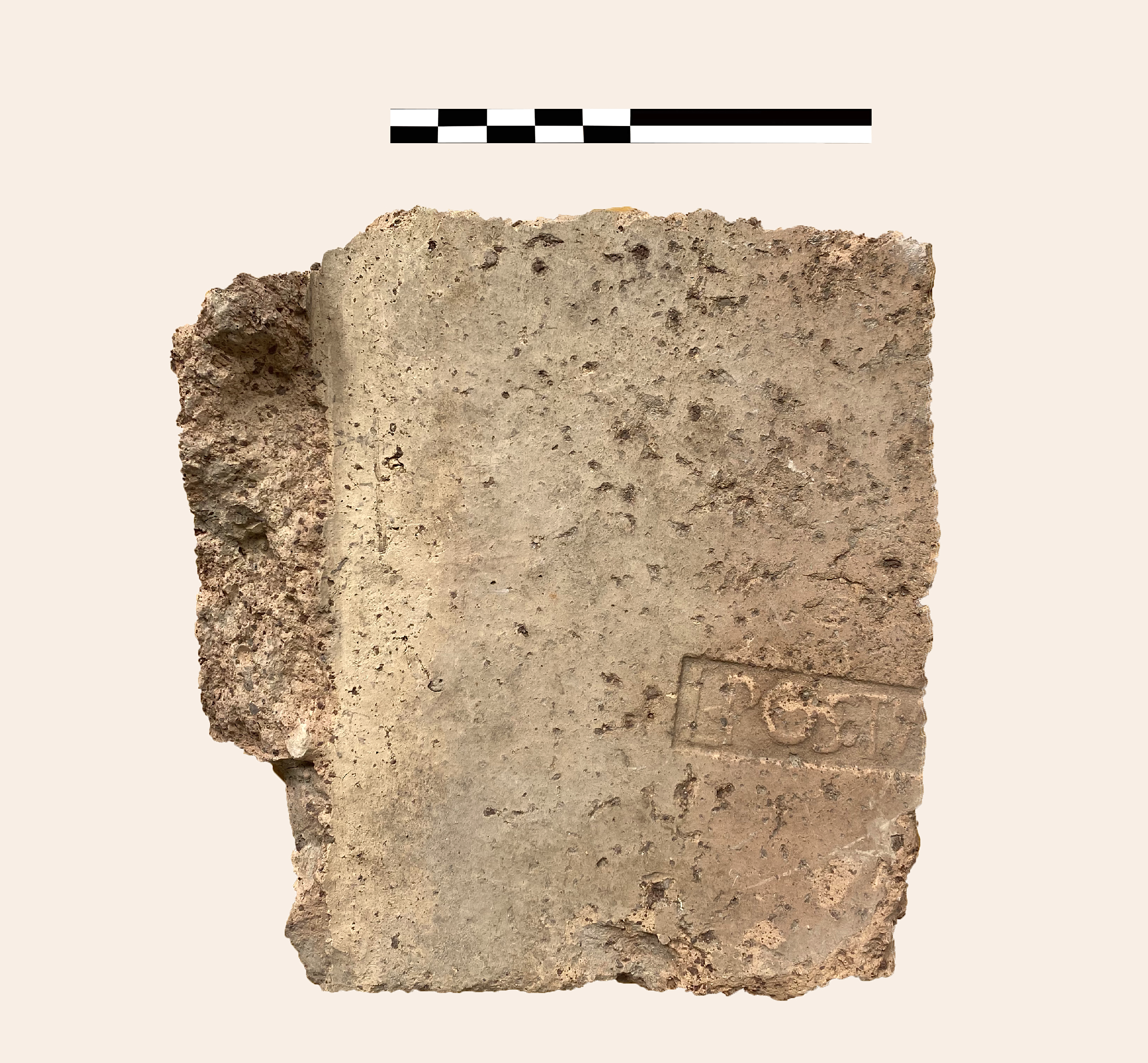 tegola/ rettangolare bollata (metà SECOLI/ I a.C)