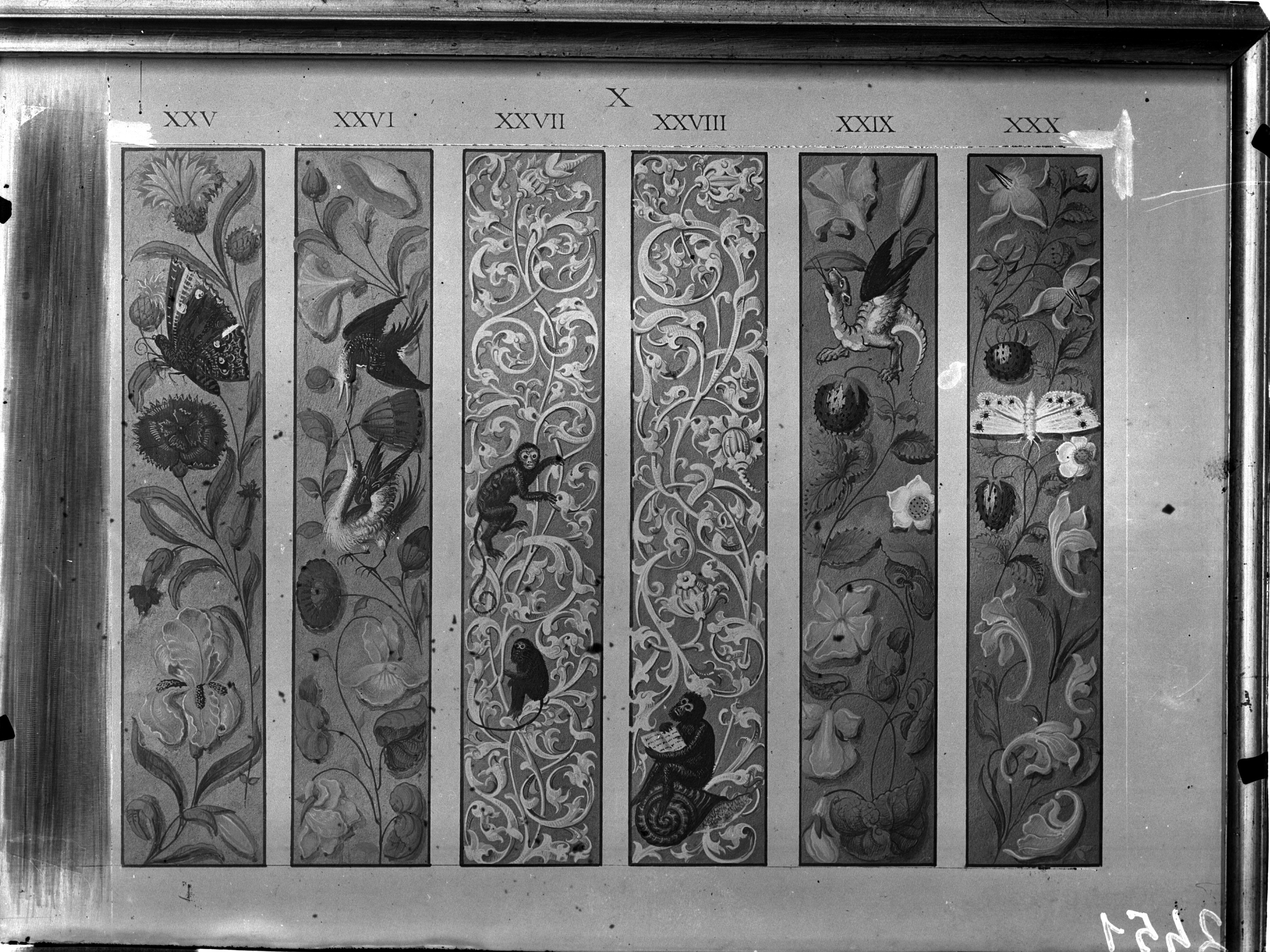 Decorazioni (miniatura, elemento d'insieme) di Verga, Napoleone (terzo quarto sec. XIX)