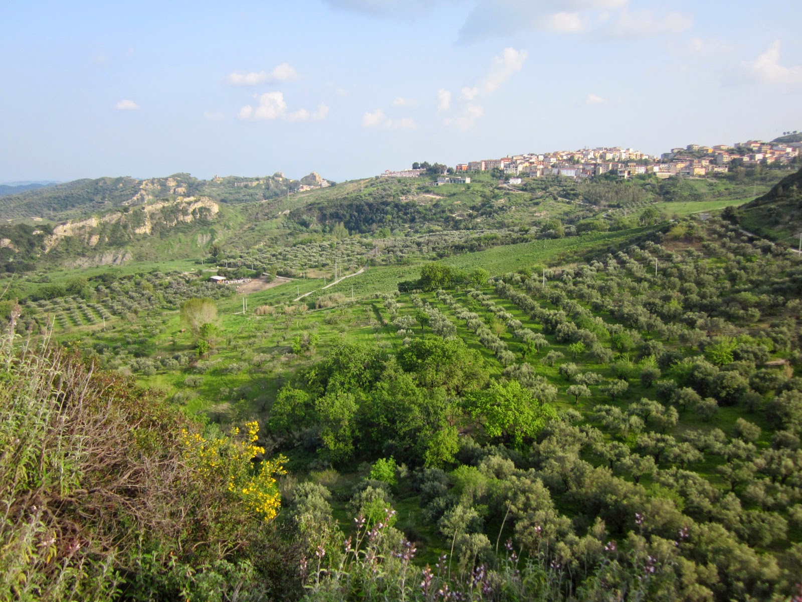 centro storico, di crinale, collinare, agricolo, Casabona (XIV)