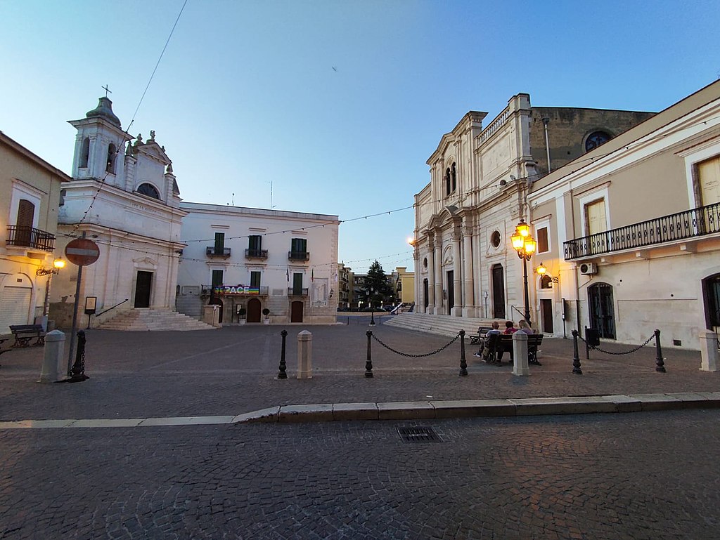 centro storico, di pianura, agricolo, Trinitapoli, Casale della Puglia (denominazione storica, ante XI sec.), Casale di San Giovanni della Fabbrica (denominazione storica, post XI sec.), Casale della Trinità (denominazione storica, cit. 1150; cit. 1806), Casaltrinità (denominazione storica, XVIII- ante 1863) (inizio XI)