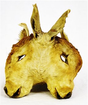 VERTEBRATI/ MAMMIFERI/ Bovino domestico (esemplare)