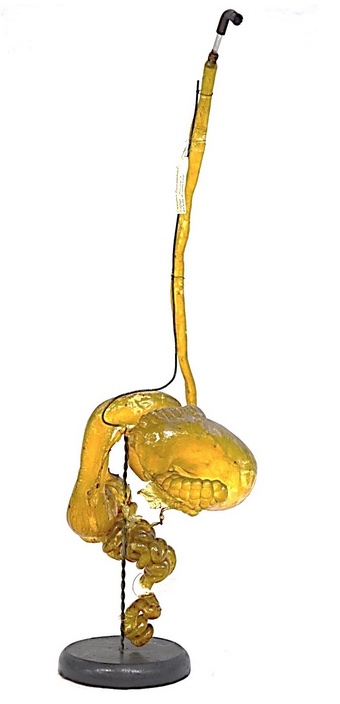 VERTEBRATI/ MAMMIFERI/ Dromedario (esemplare)