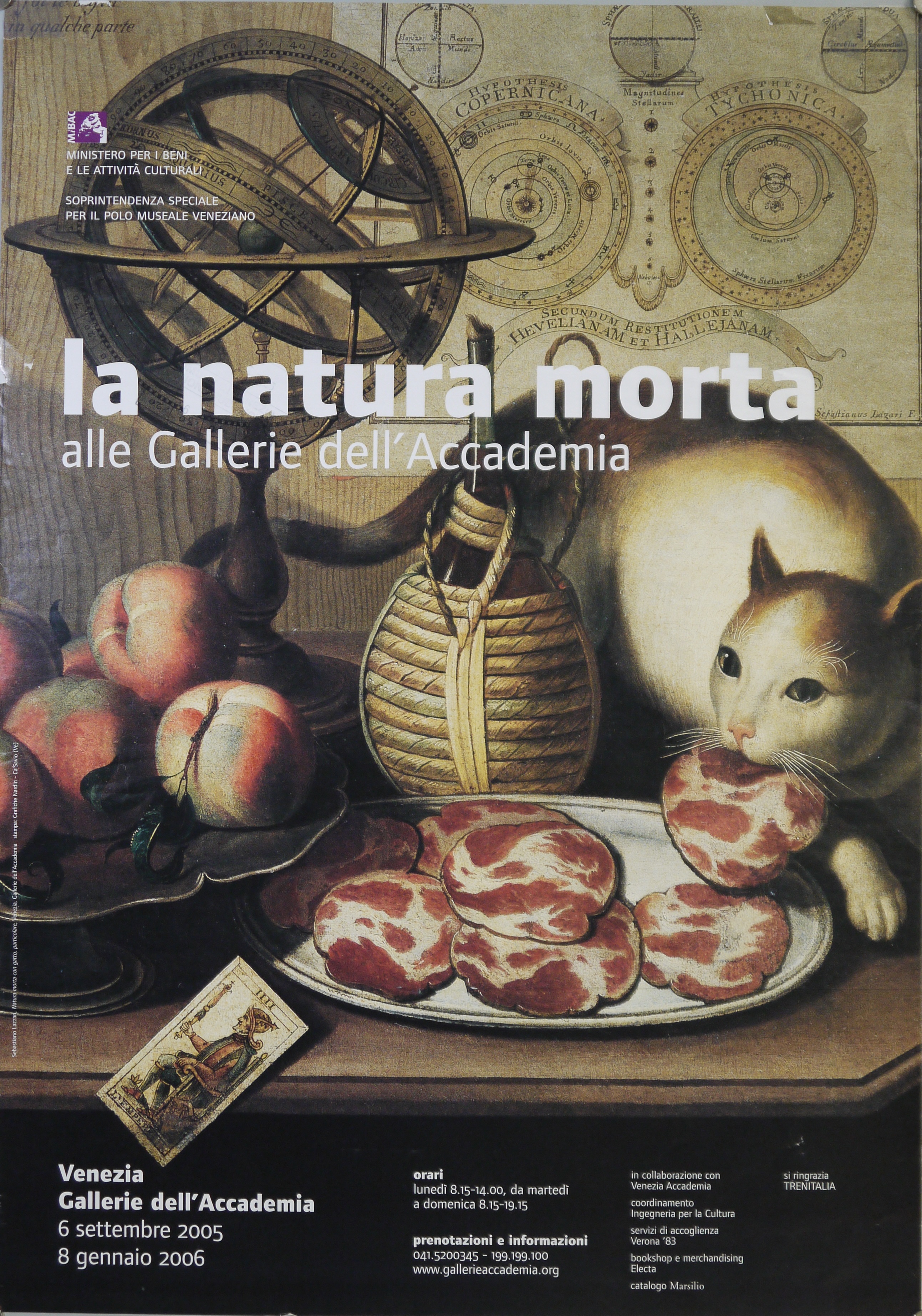 dettaglio da Sebastiano Lazzari, "Natura morta con gatto", Gallerie dell'Accademia (manifesto) - ambito veneto (fine XX)