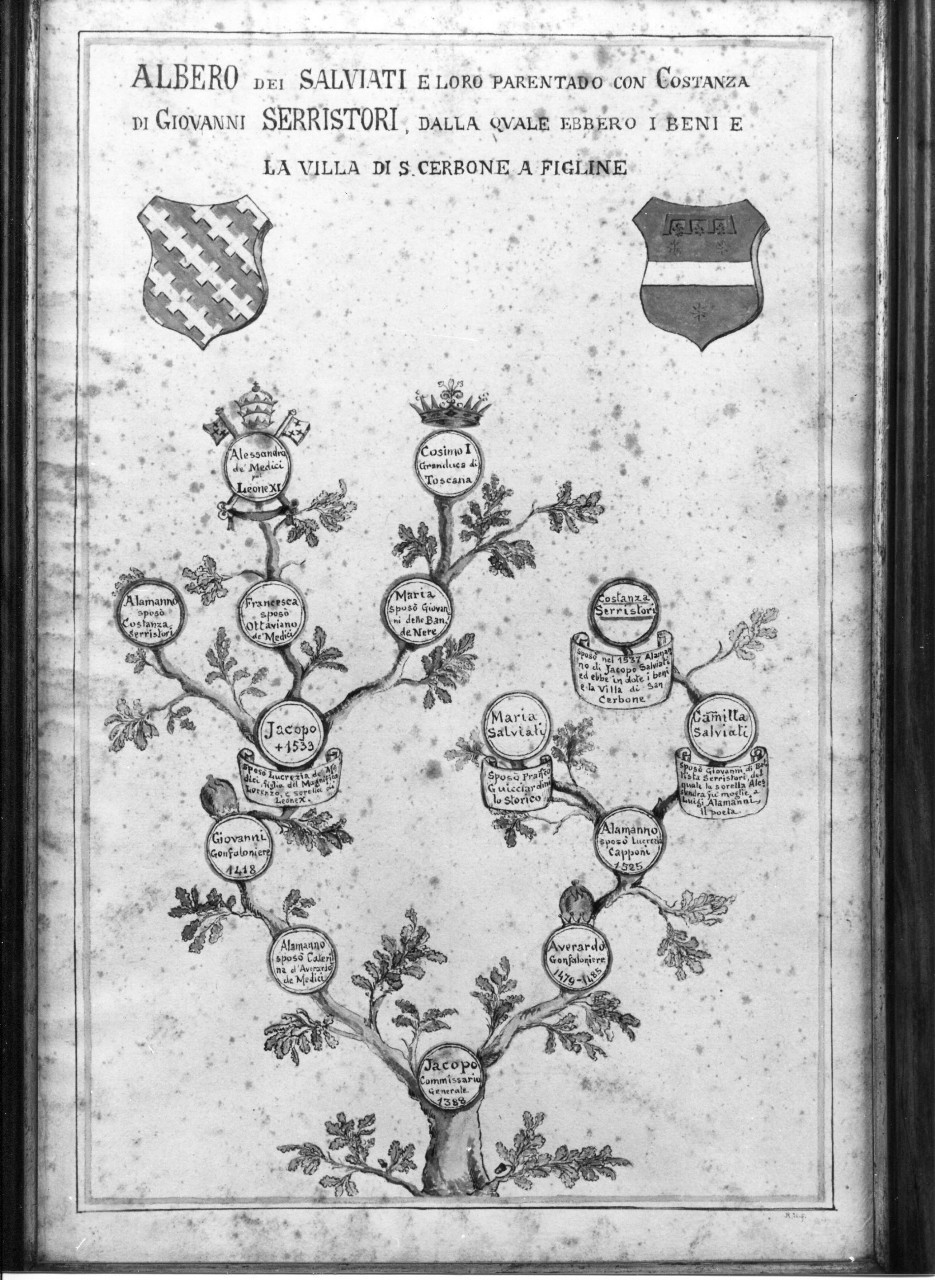 albero genealogico della famiglia Salviati (disegno) di Uccelli R (XX)