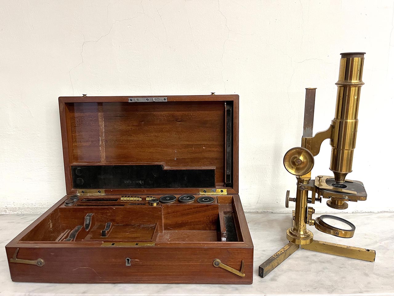 microscopio, composto Schiek di Schiek (fine XIX)