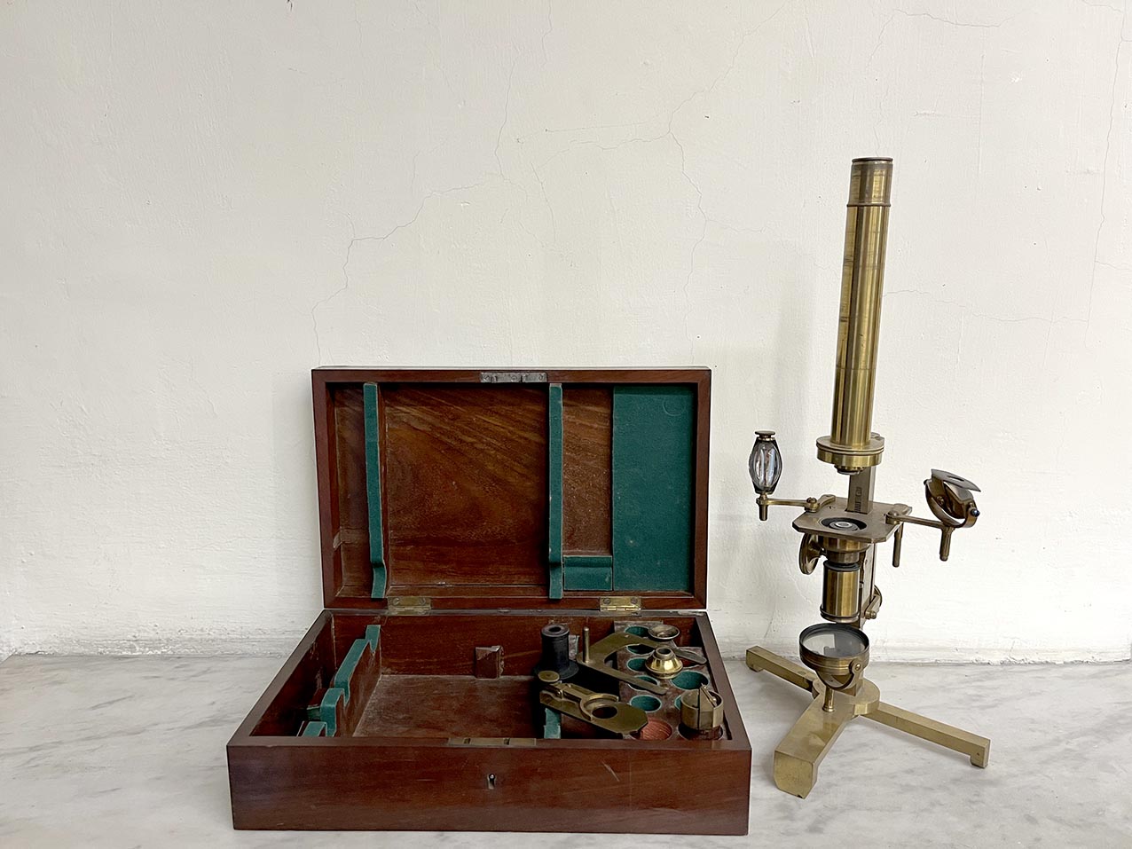 microscopio, composto del tipo fabbricato da Amici (XIX-XX)