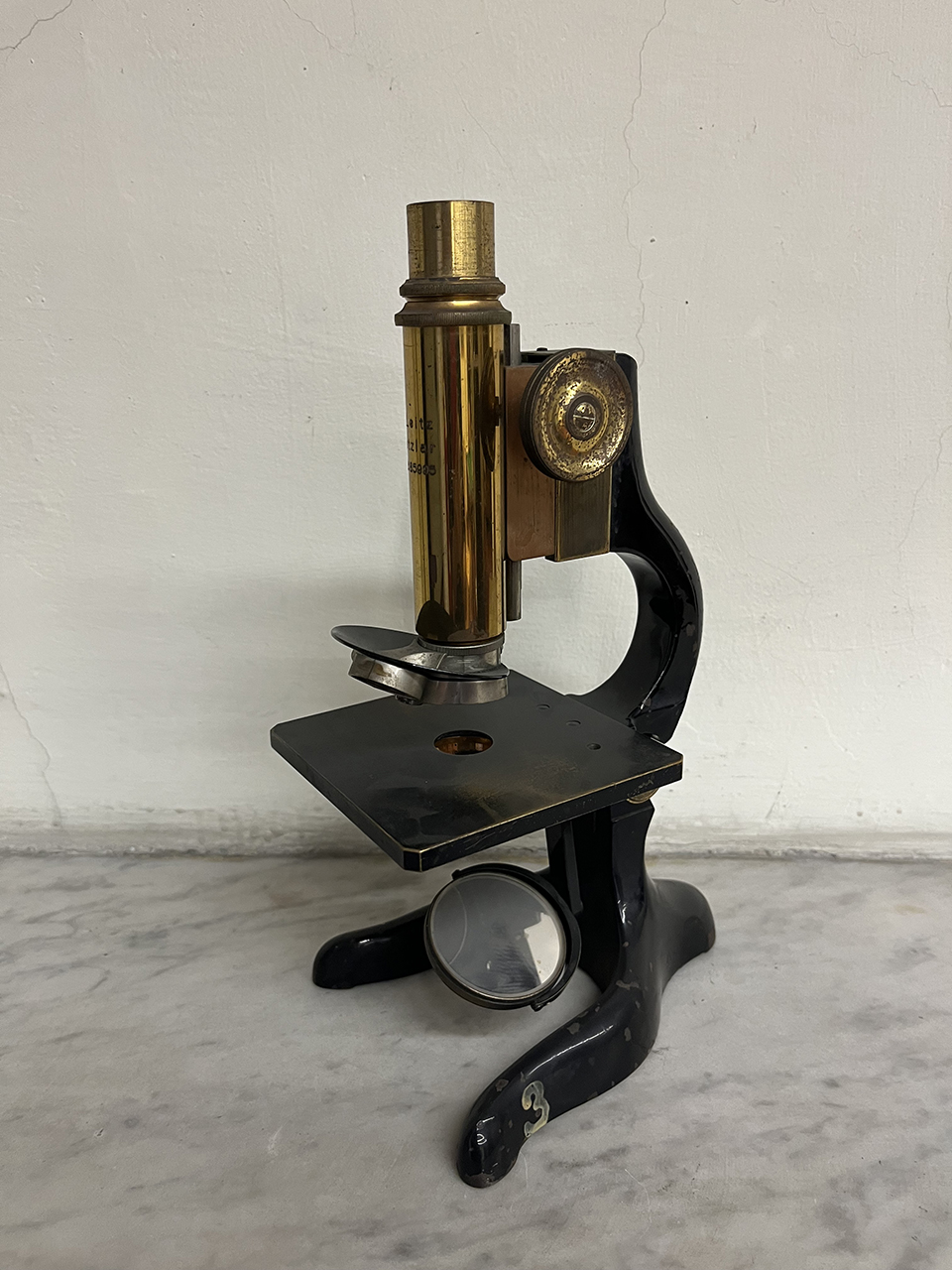 microscopio, composto Leitz (inizio XX)