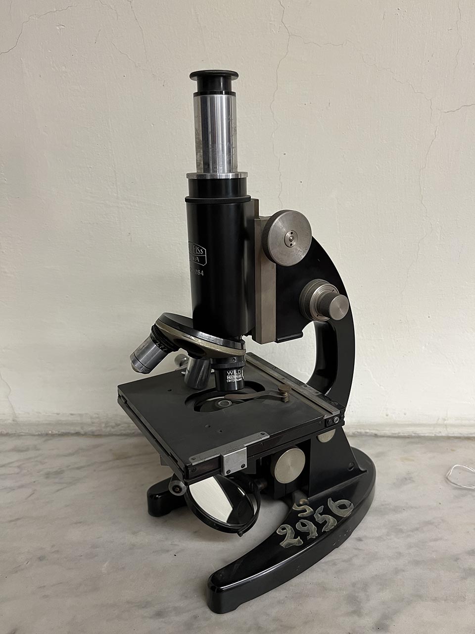 microscopio, composto Carl Zeiss Jena di Carl Zeiss Jena (XX)