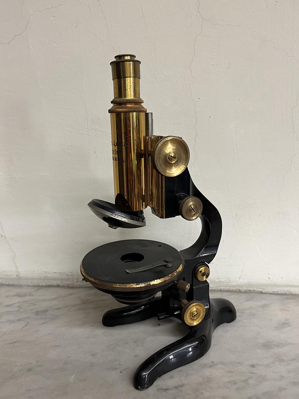 microscopio, composto Leitz di Microscopio composto Leitz (inizio XX)