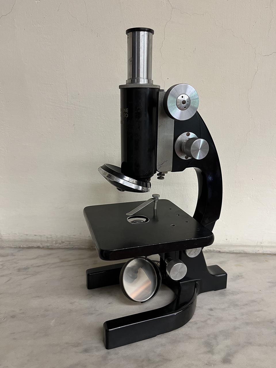 microscopio, composto Galileo di Officine Galileo (XX)
