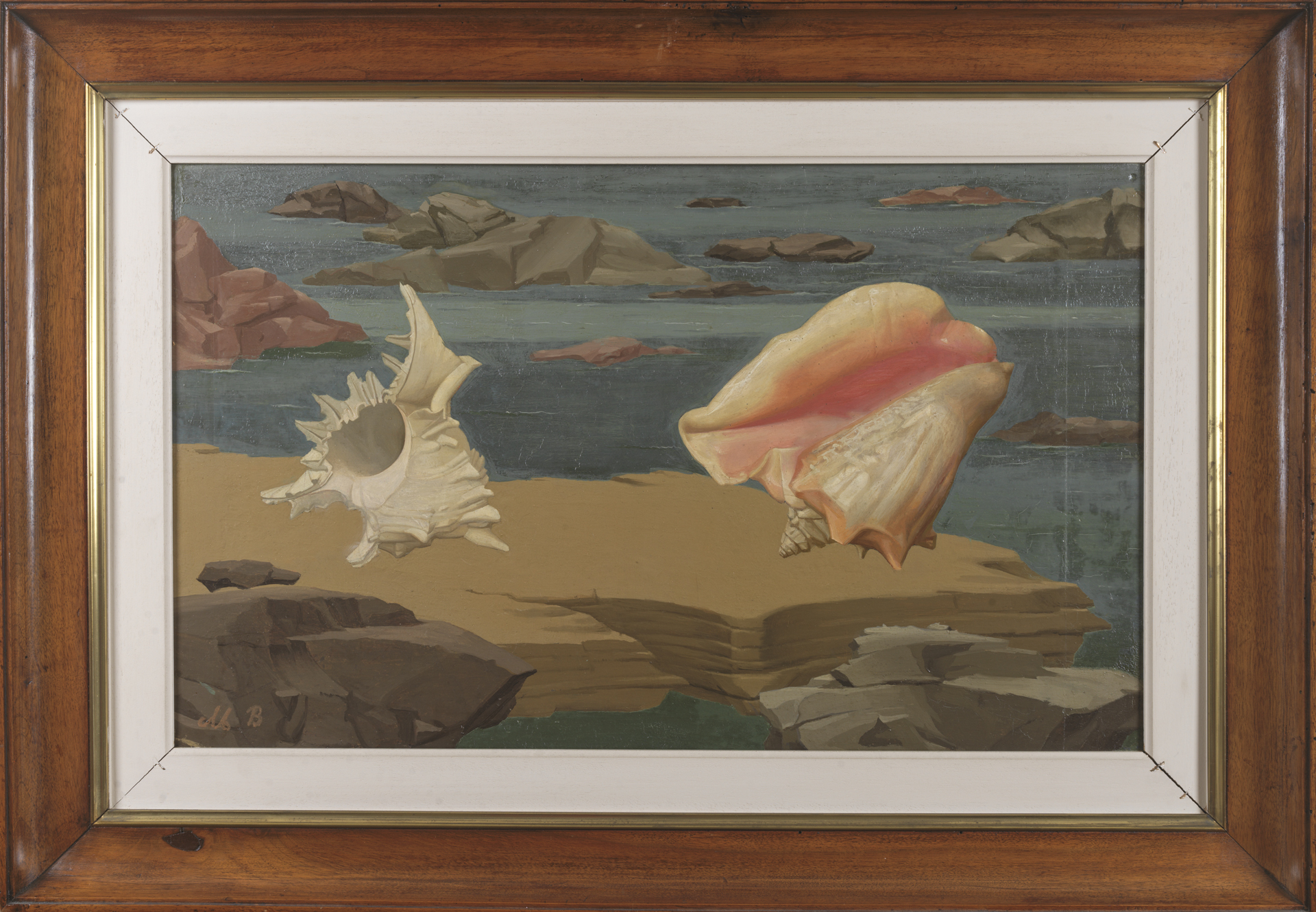 Conchiglie, Natura morta, Conchiglie variopinte, spiaggia con scogli e conchiglie (dipinto) di Broglio Mario (sec. XX)