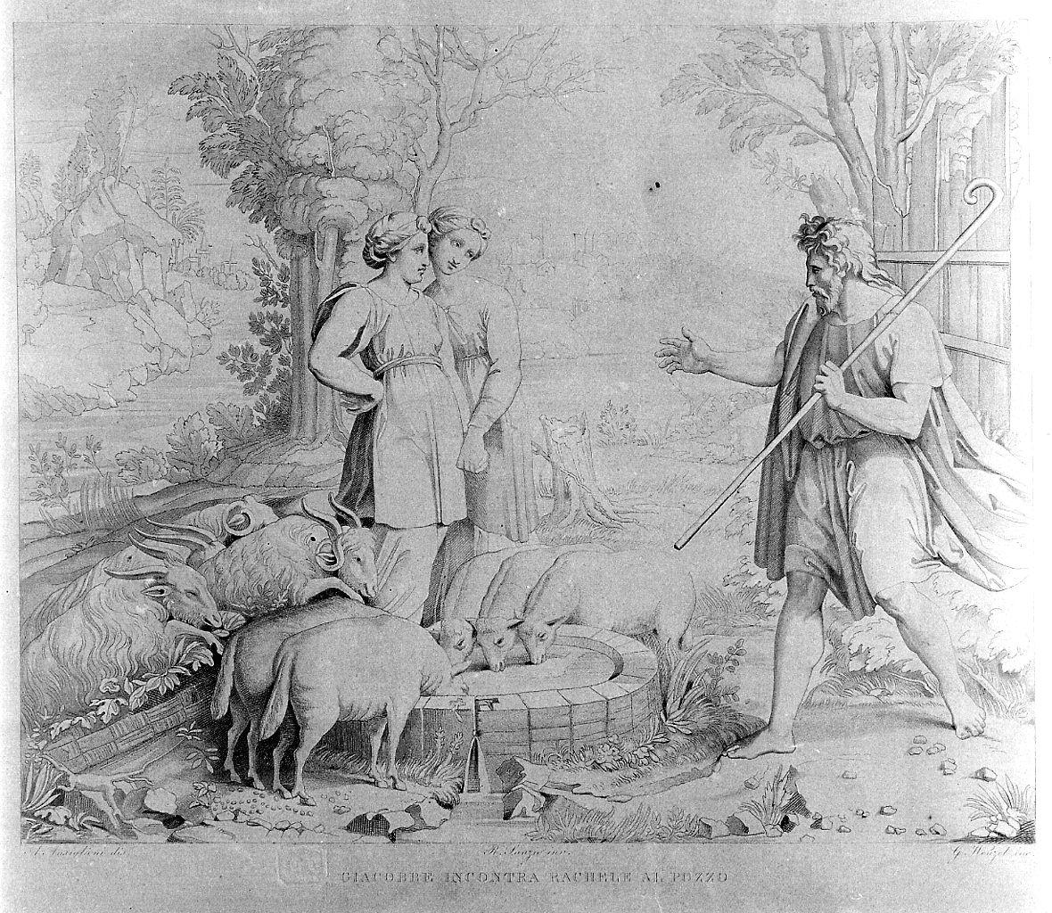 Giacobbe e Rachele al pozzo (stampa) di Wenzel Giovanni, Sanzio Raffaello detto Raffaello, Ansiglioni (sec. XIX)