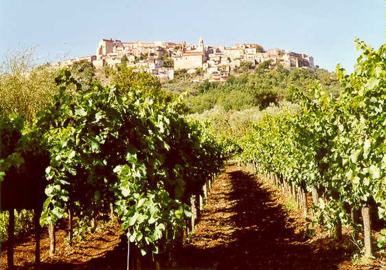 centro storico, collinare, Torrecuso (XII)