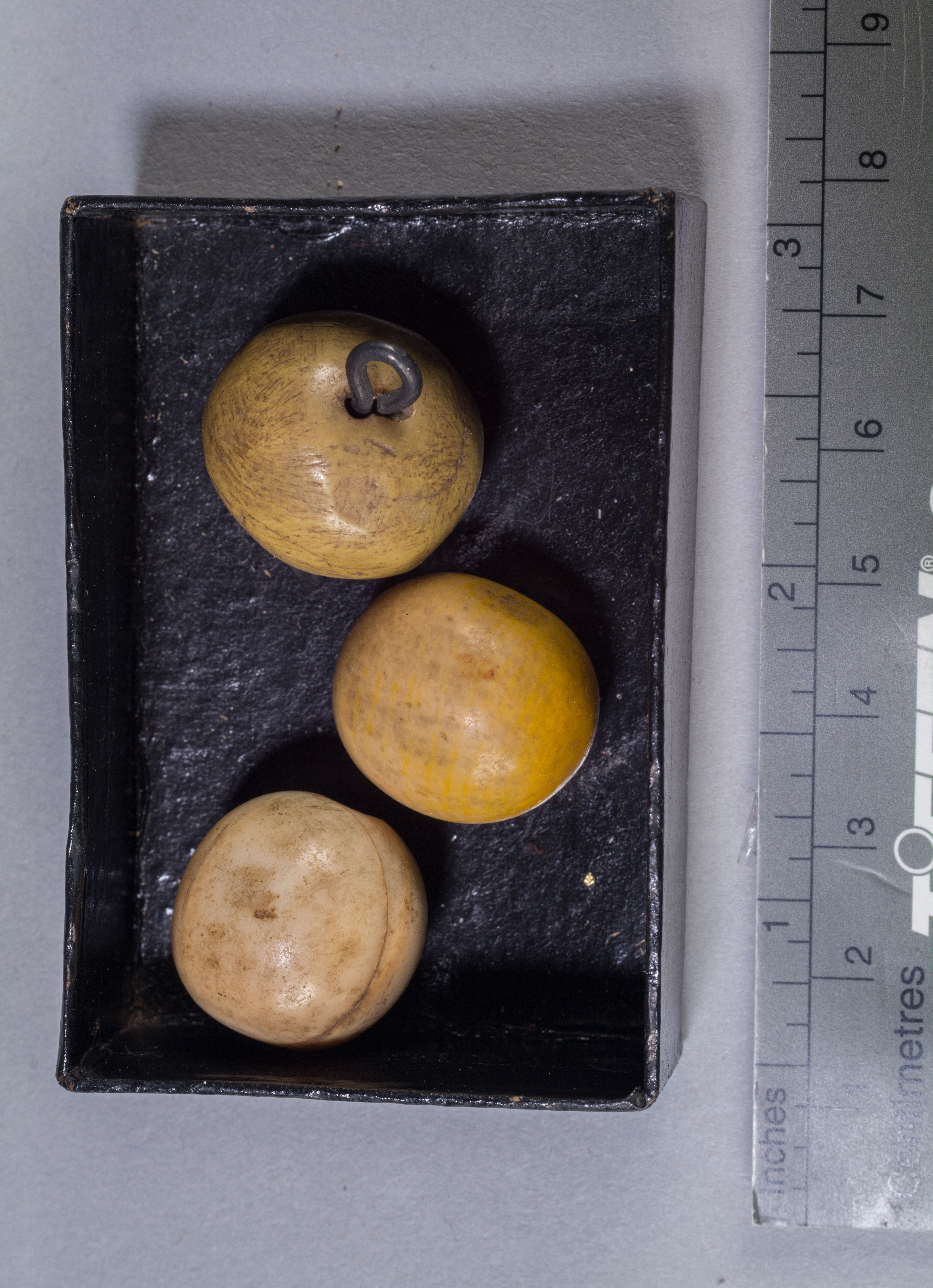 sferule di avorio e di calcare (esemplare)