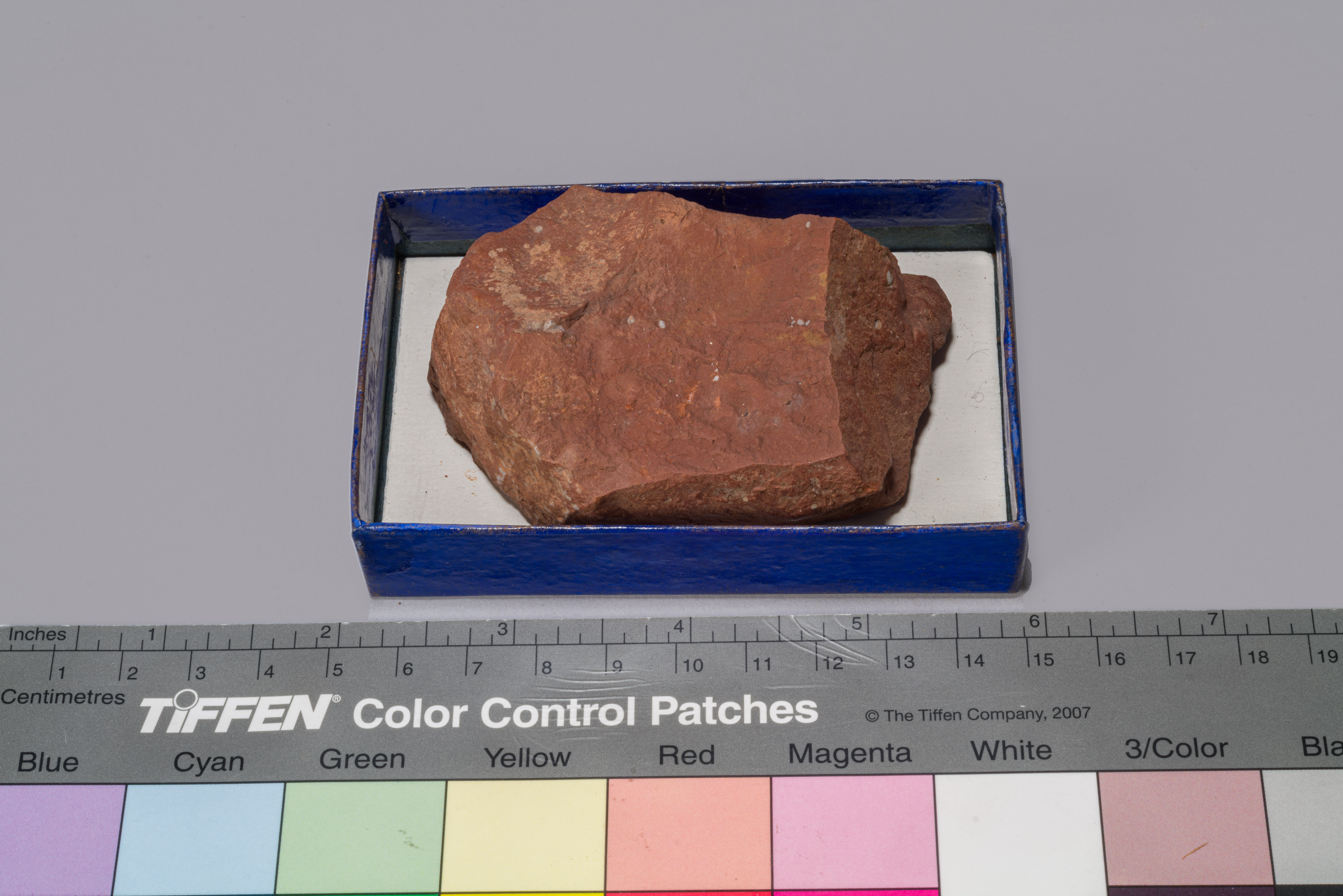 Bolo armeno (esemplare)