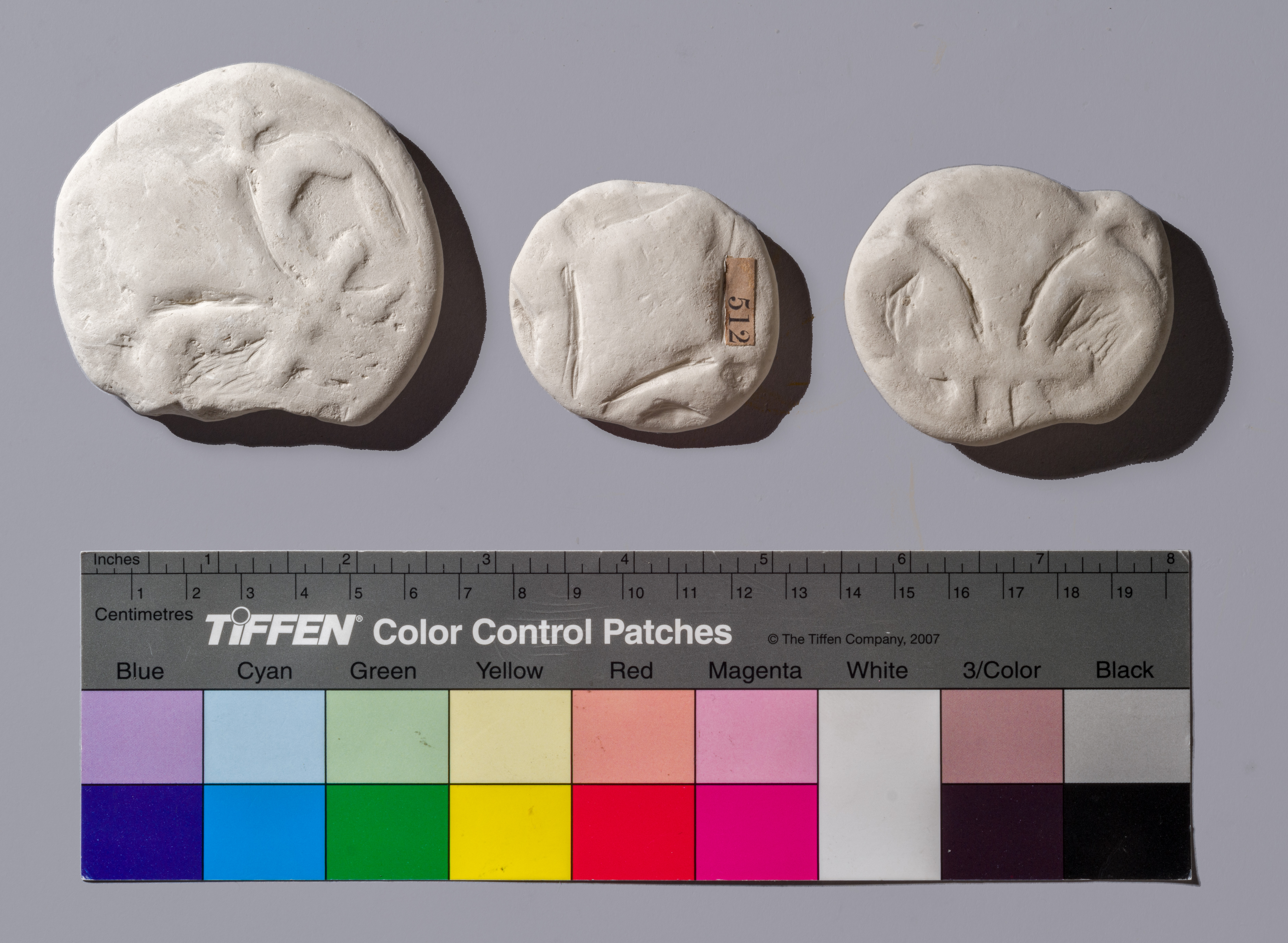 terre sigillate (esemplare)