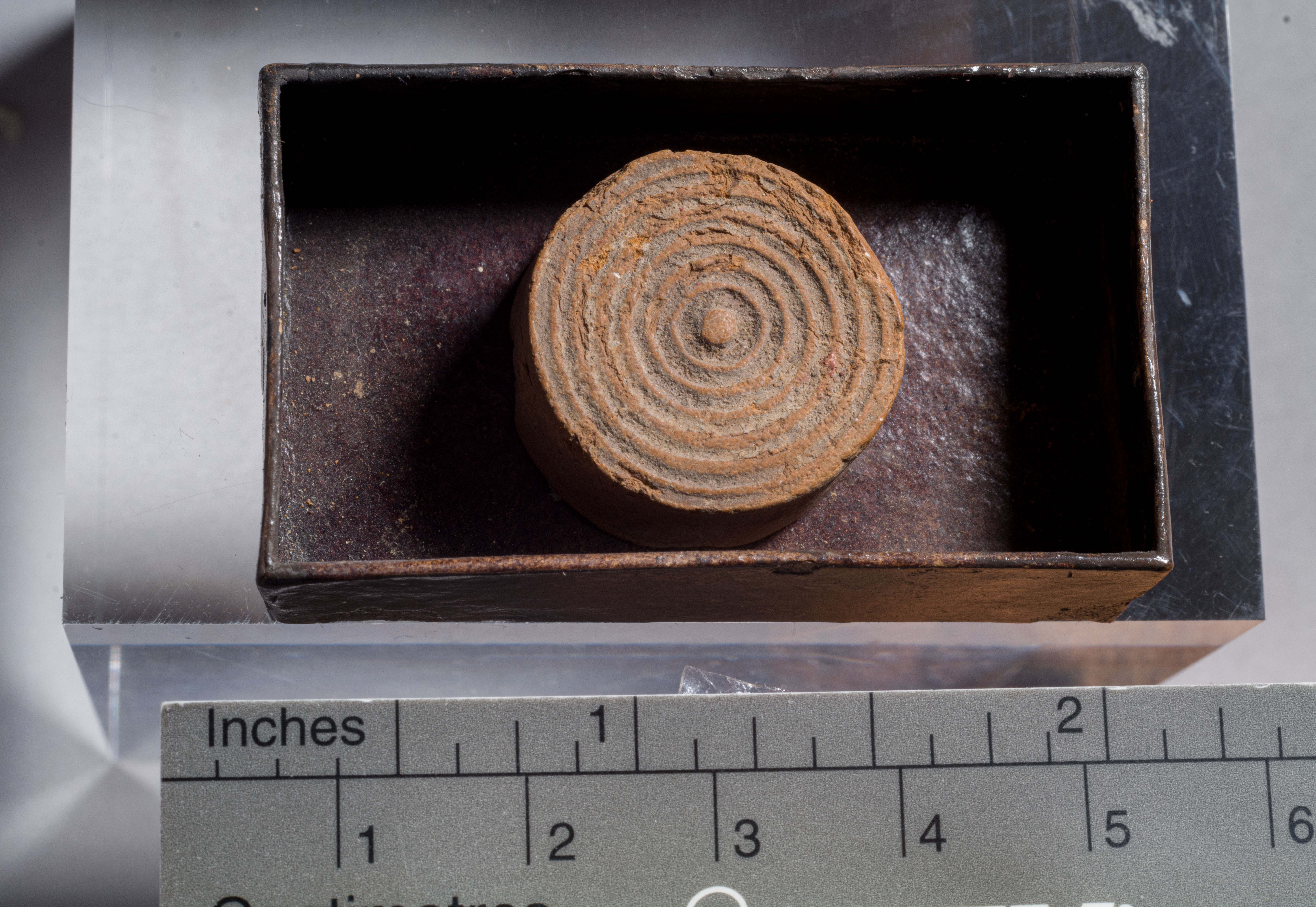 terre sigillate (esemplare)