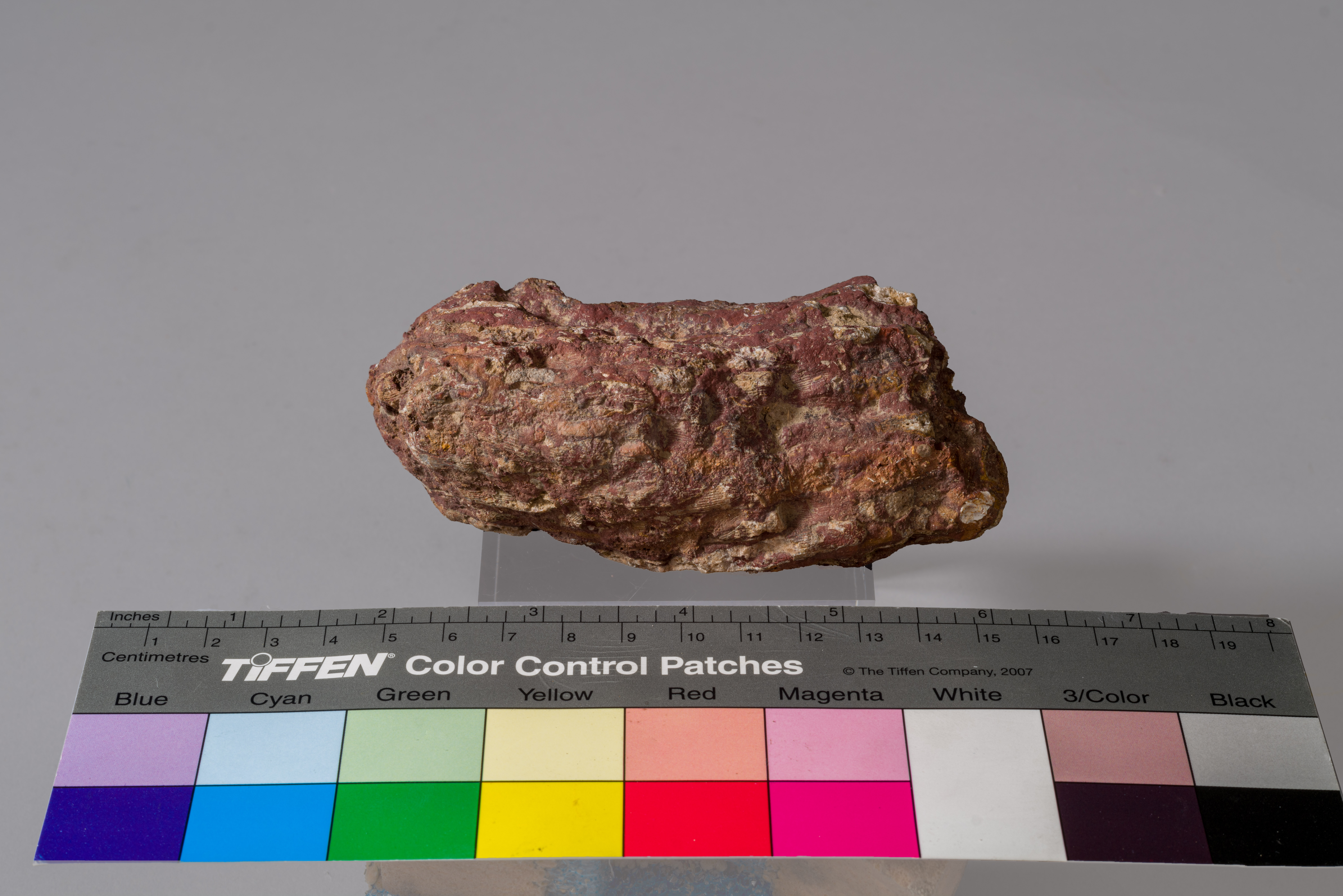 terra rosa (esemplare)