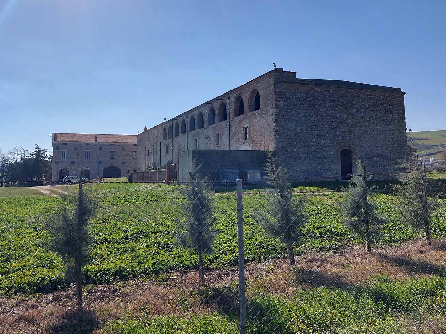 Masseria La Torretta (masseria, da campo) - Pietramontecorvino (FG) 