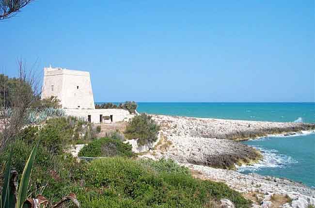 Torre Calalunga (torre, costiera) - Peschici (FG) 