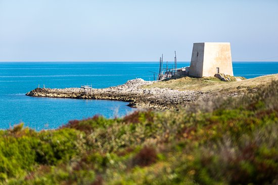 torre, costiera - Peschici (FG) 