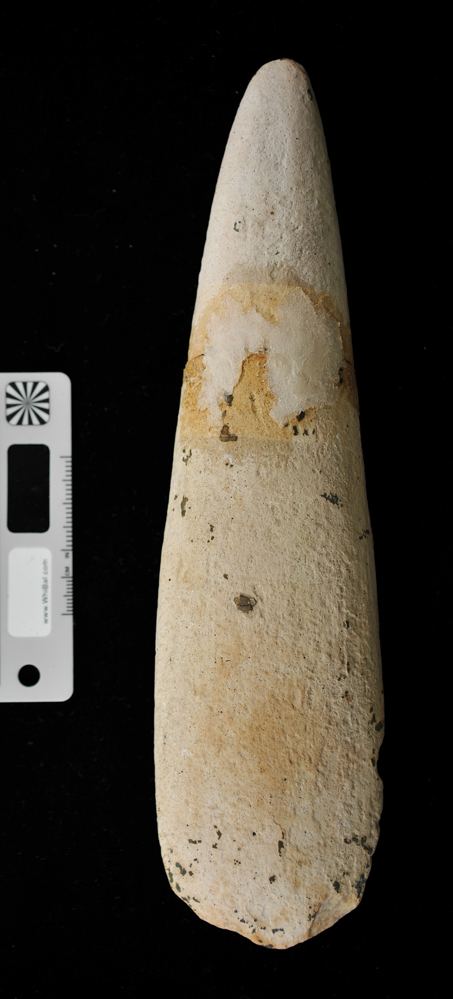 riproduzione, da calco (XX secolo)