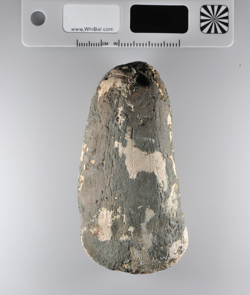 riproduzione, da calco (XX secolo)