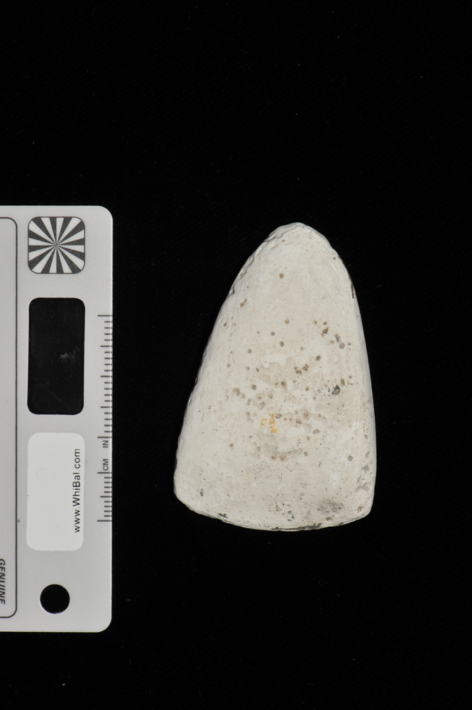 riproduzione, da calco (XX secolo)