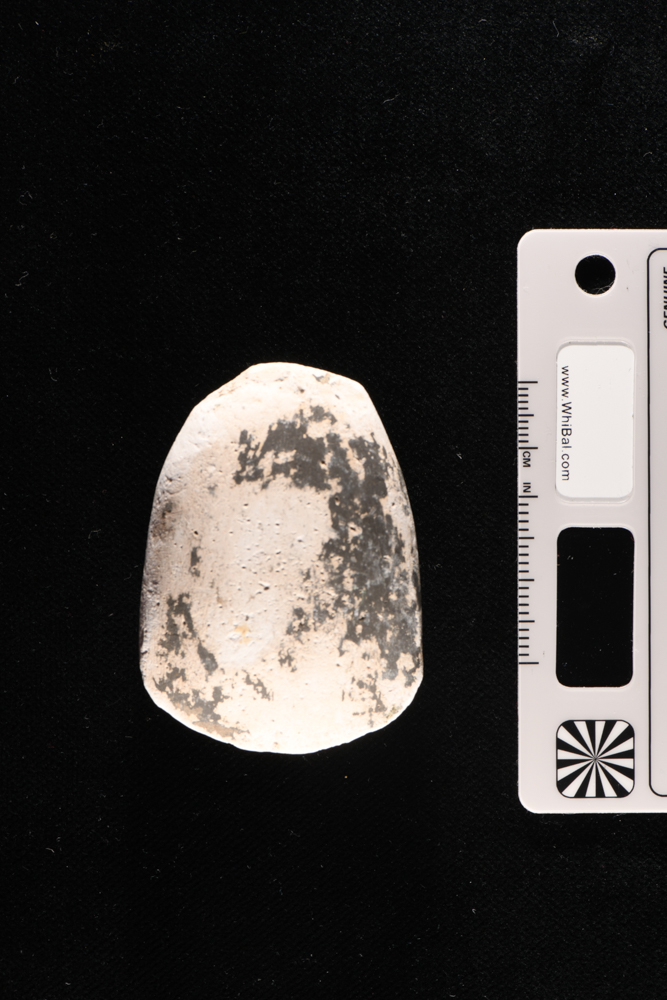 riproduzione, da calco (XX secolo)