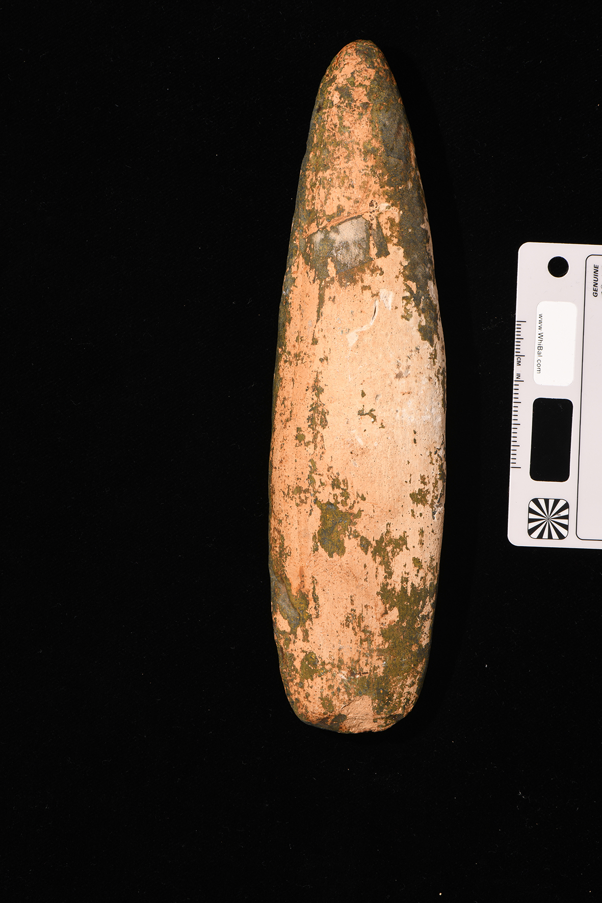 riproduzione, da calco (XX secolo)