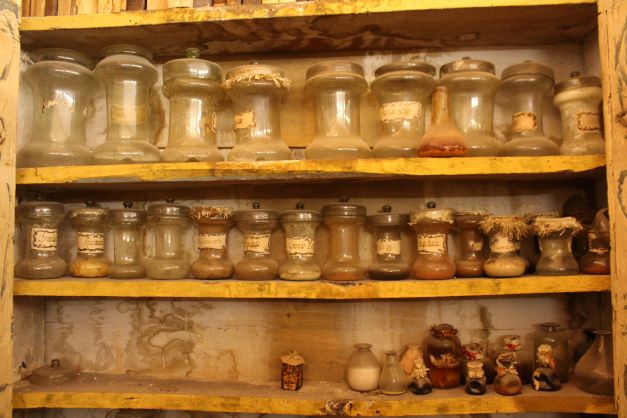 alberello, elemento d'insieme - bottega umbra (sec. XIX)