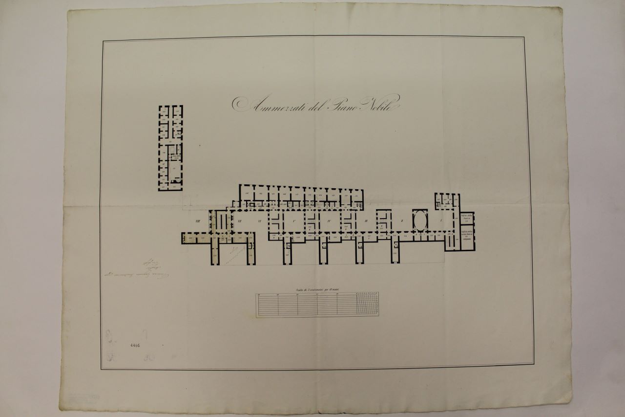 Procuratie Nuove (disegno architettonico) - ambito italiano (ultimo quarto XIX)