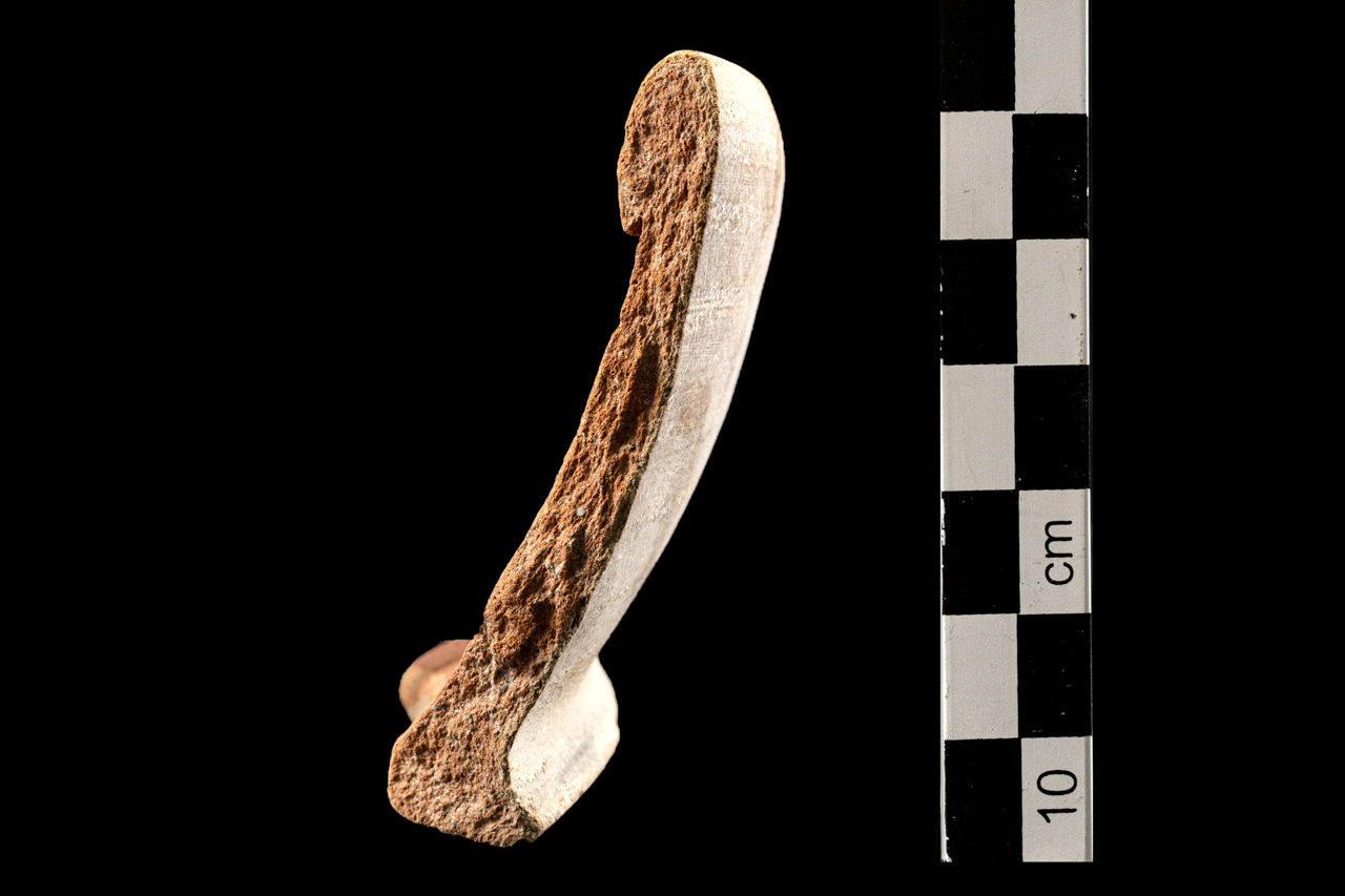 casseruola (SECOLI/ ARCHI DI SECOLI/ II-V)