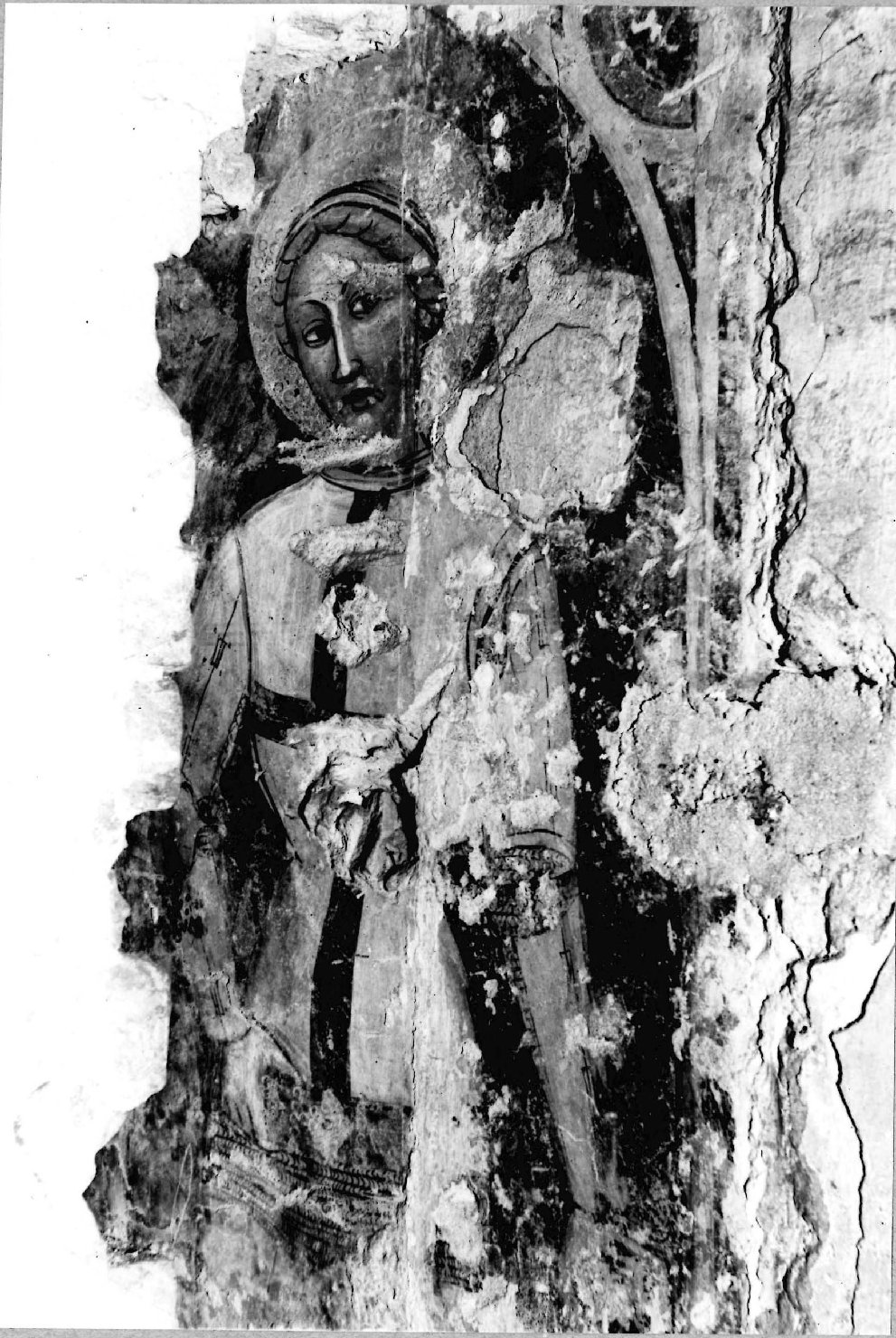 Architettura - Chiese - Apparati decorativi - Cremona (positivo) di Anonimo (seconda metà XX)