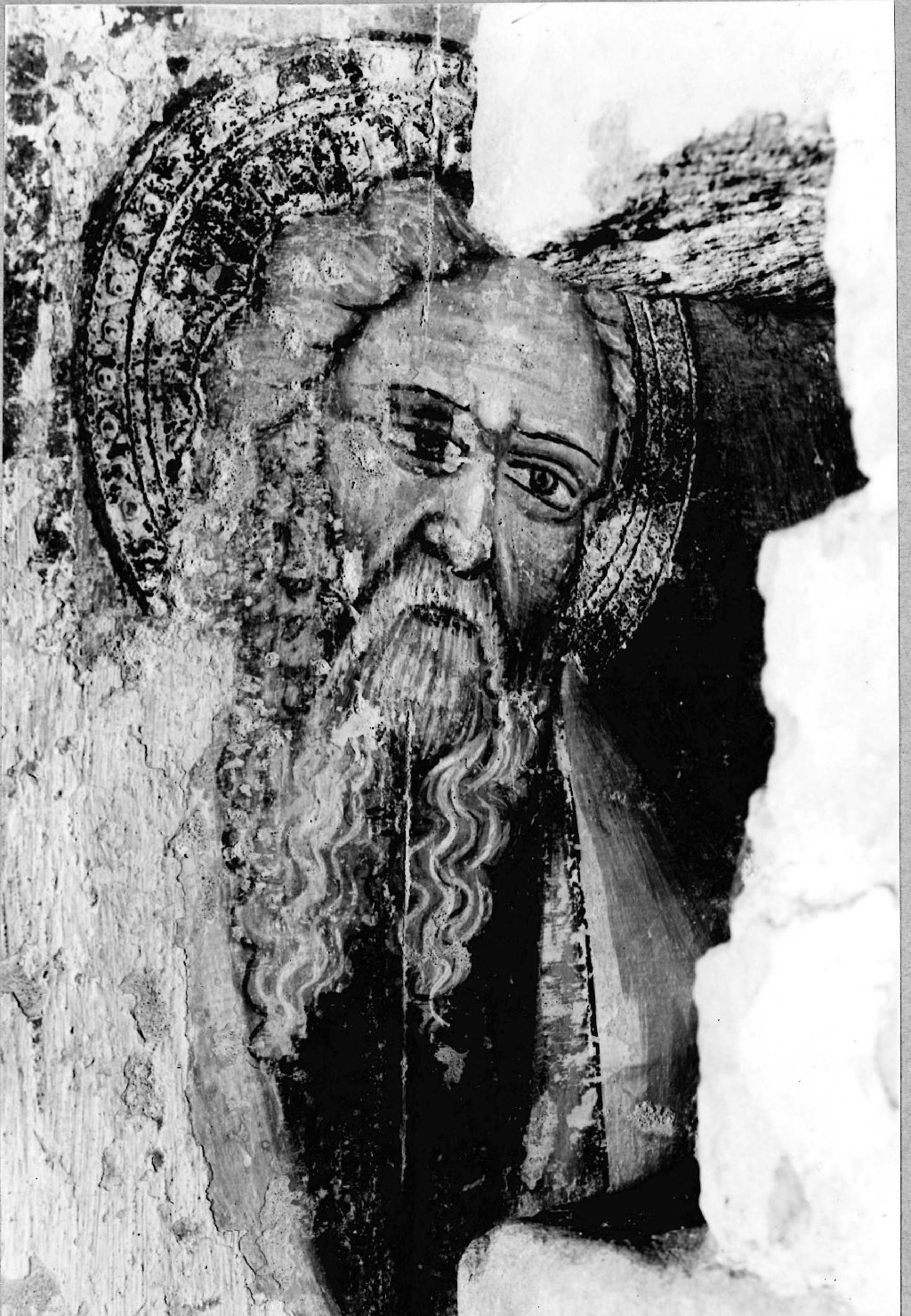 Architettura - Chiese - Apparati decorativi - Cremona (positivo) di Anonimo (seconda metà XX)