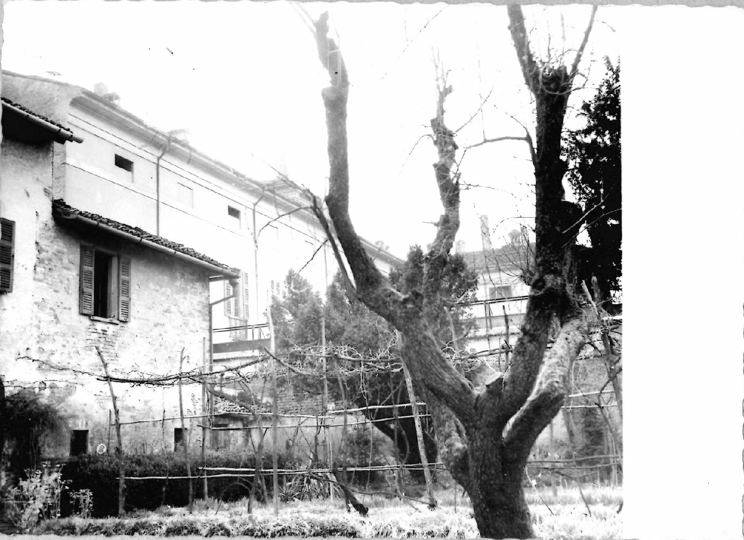 Centri urbani - Architettura - Giardini - Cremona (positivo) di Anonimo (XX)