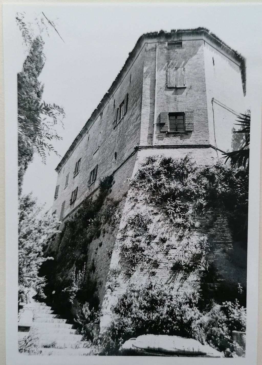 Palazzo Viviani poi Antonelli (palazzo, privato) - Montegridolfo (RN) 