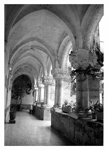 CONVENTO DI S. SEBASTIANO, gia' BADIA DI (n) (chiostro) - Gravina in Puglia (BA) 