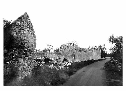 TORRE DI RUFOLO (torre) - Giovinazzo (BA) 