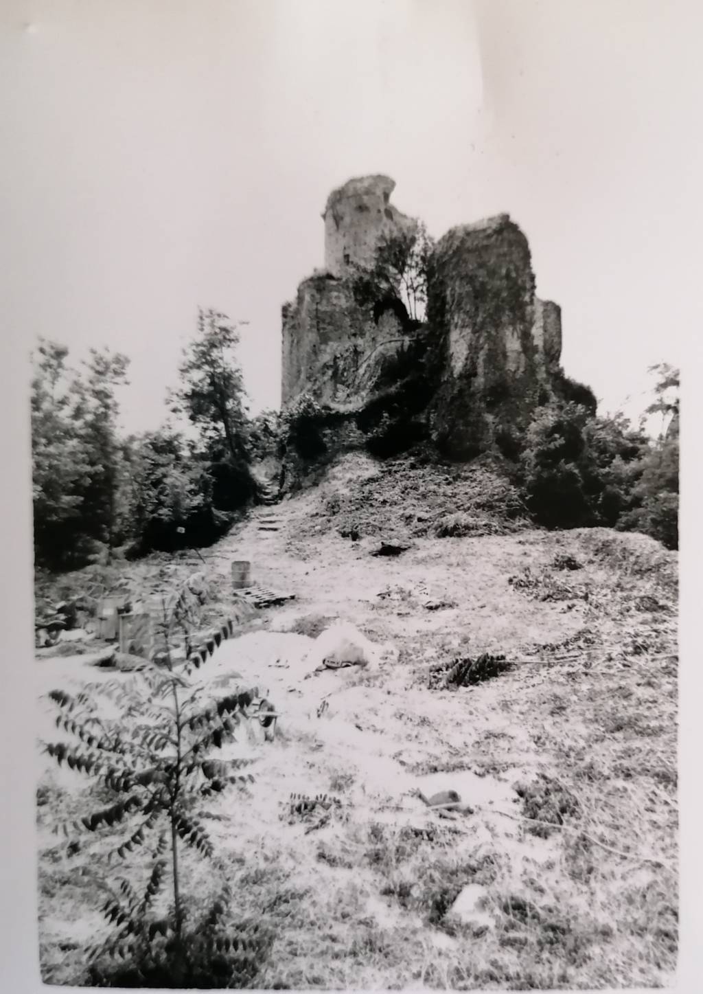 Rocca dei Conti Guidi (rocca) - Modigliana (FC) 