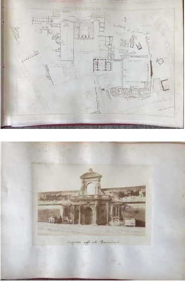 Palatino (positivo) di Tuminello Lodovico (XIX)