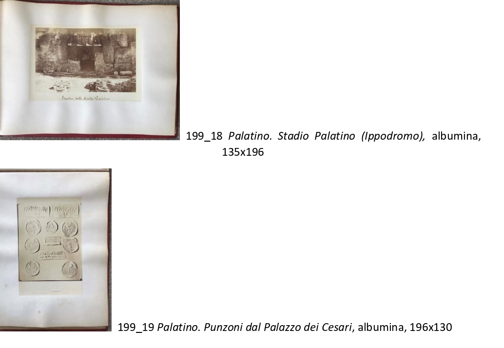 Palatino (positivo) di Tuminello Lodovico (XIX)