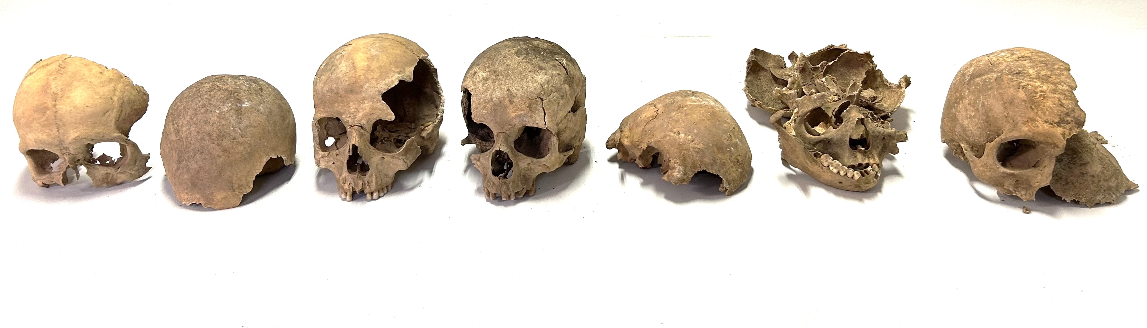 reperti antropologici pertinenti a più individui, reperti ossei (non determinabile)