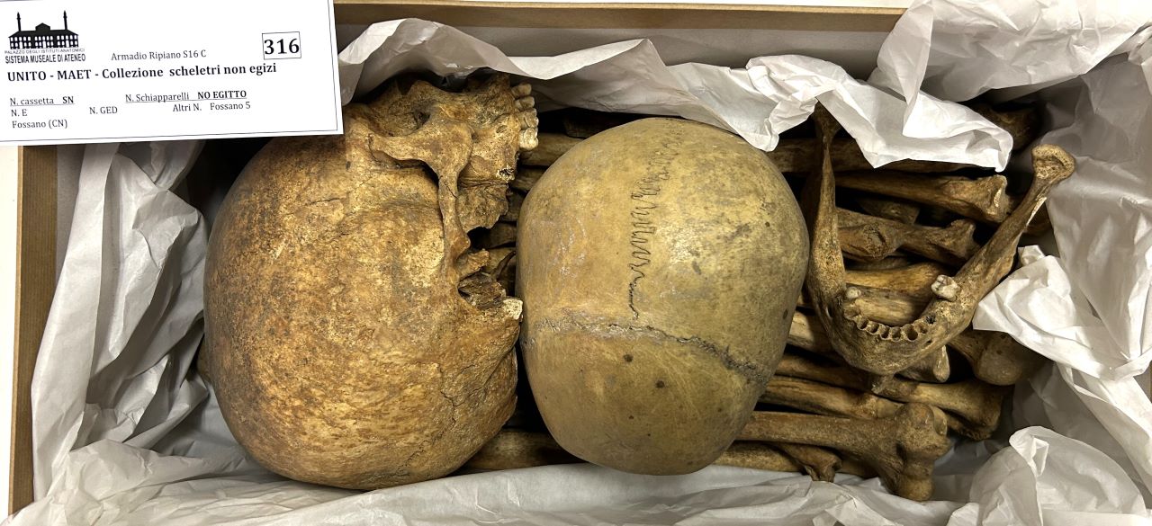 reperti antropologici pertinenti a più individui, reperti ossei (non determinabile)