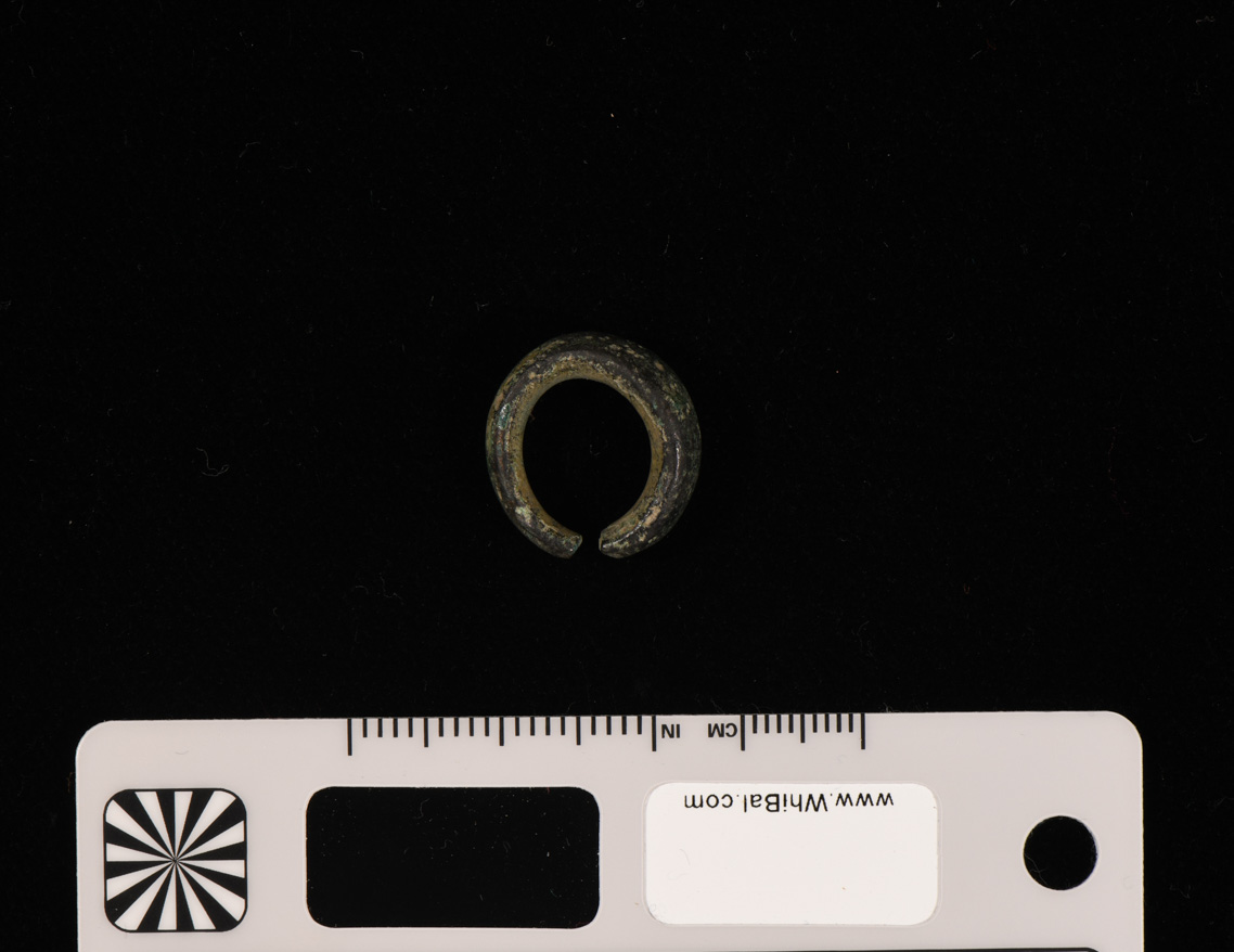 anello (PERIODIZZAZIONI/ PROTOSTORIA/ Età del Bronzo)